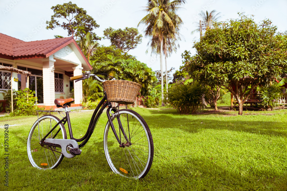 Fototapeta premium Old vintage bicycle on a green yard near the house. Summer sun.