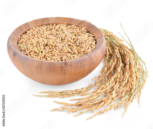 paddy seeds rice on white background