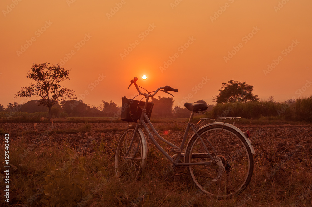 Landscape of field with retro bicycle and sunset background