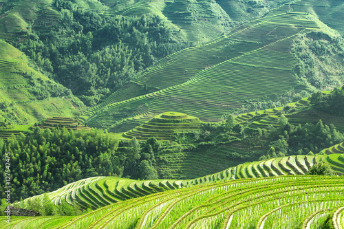 terraced fields