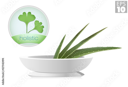 Aloe and ginkgo biloba plants, holistic icons, alternative medicine