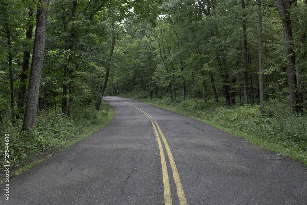 Fototapeta premium Green