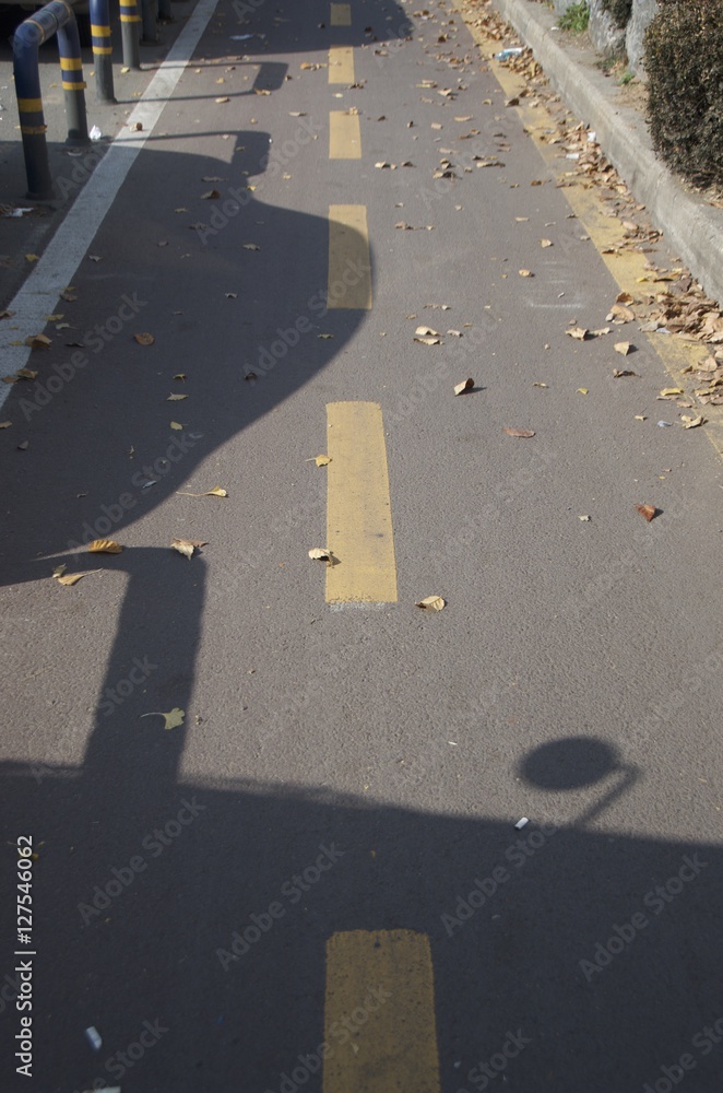 Fototapeta premium 가을 풍경