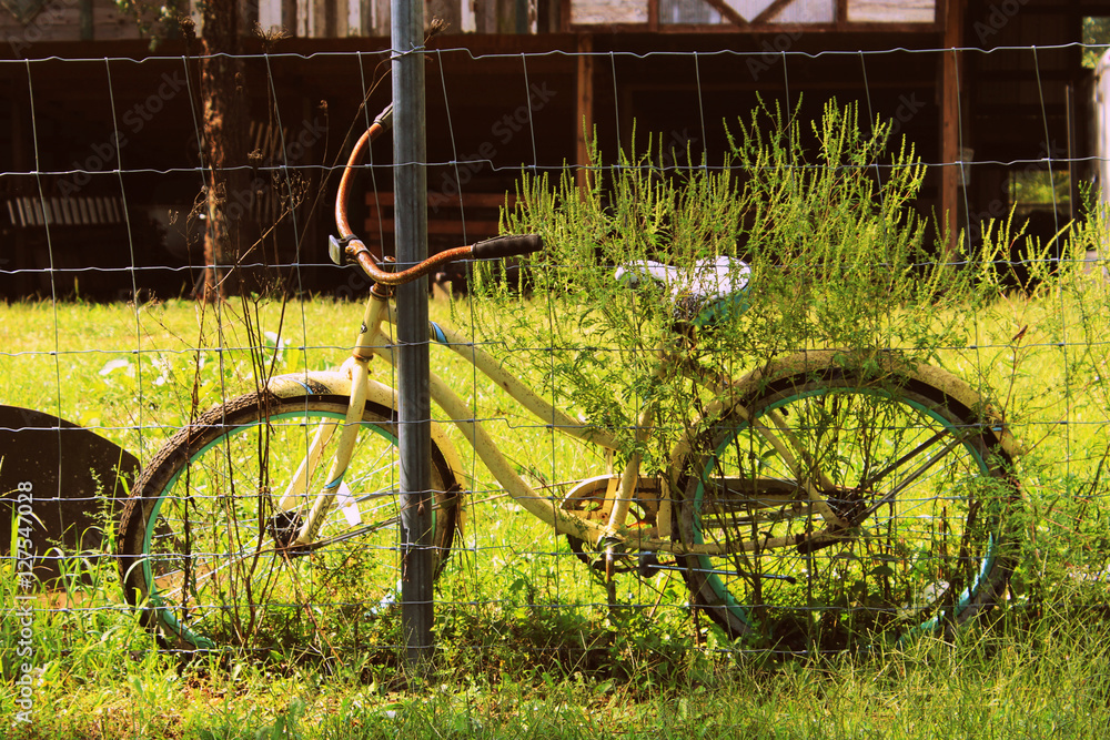 Old bicycle Old bicycle