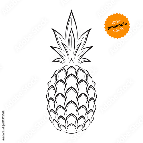 Pineapple emblem, label, symbol. Template for stores, markets, food packaging. Vector illustration. 