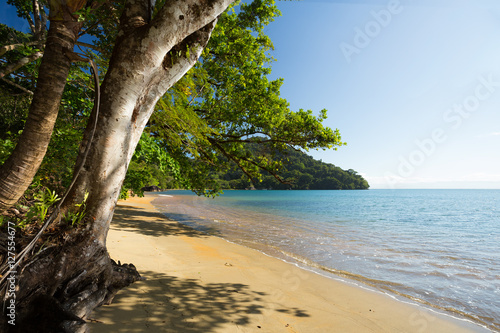 Beautiful dream paradise beach, Madagascar photo
