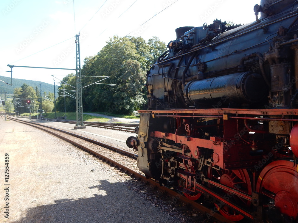 Naklejka premium Historische Danpflok