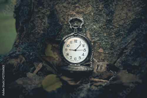 Wallpaper Mural Retro pocket watch on wood background. Torontodigital.ca