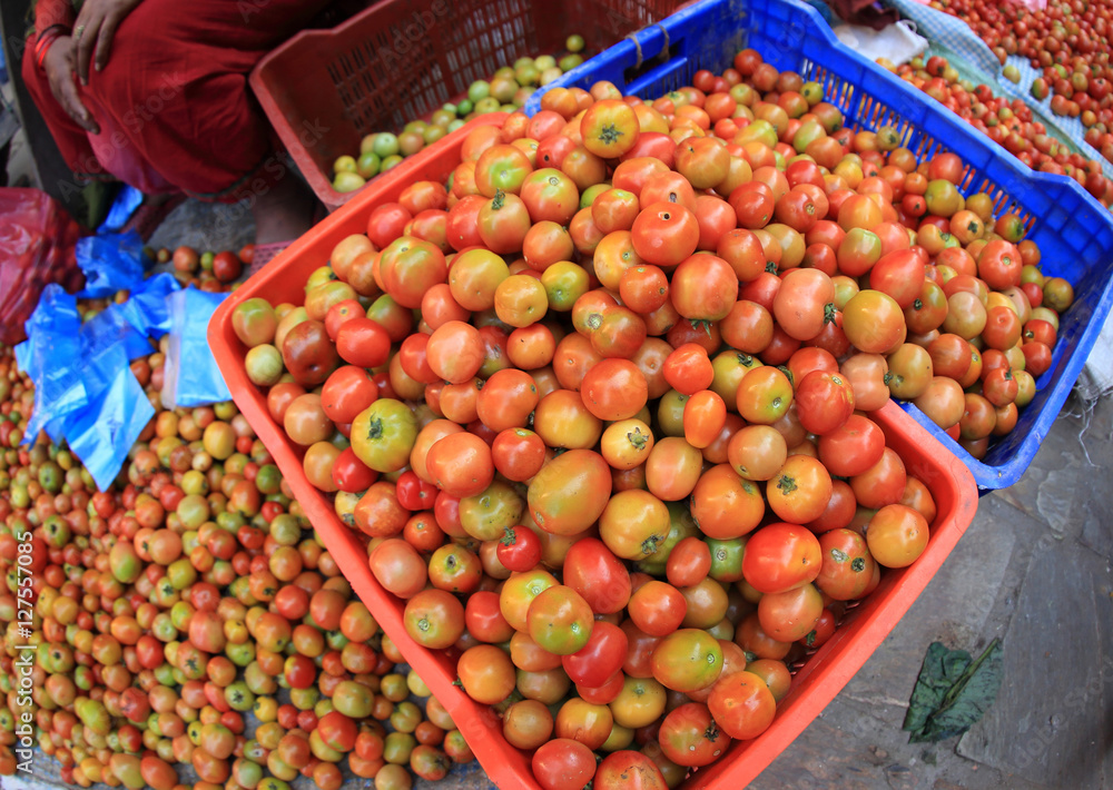 tomato selling at the vegetable market at nepal
