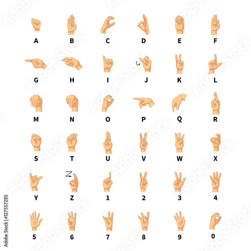 Sign language interpreter, latin alphabet signs on white