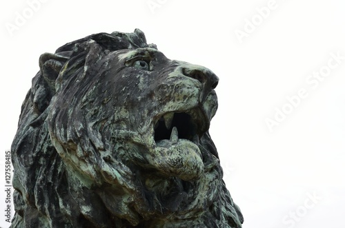 Statue of lion on white background © pauws99