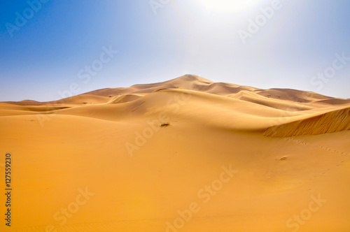 dunes in Sahara Desert © Tortuga