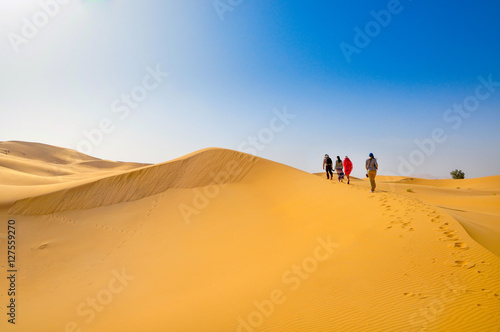 dunes in Sahara Desert
