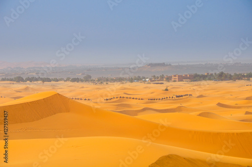 dunes in Sahara Desert
