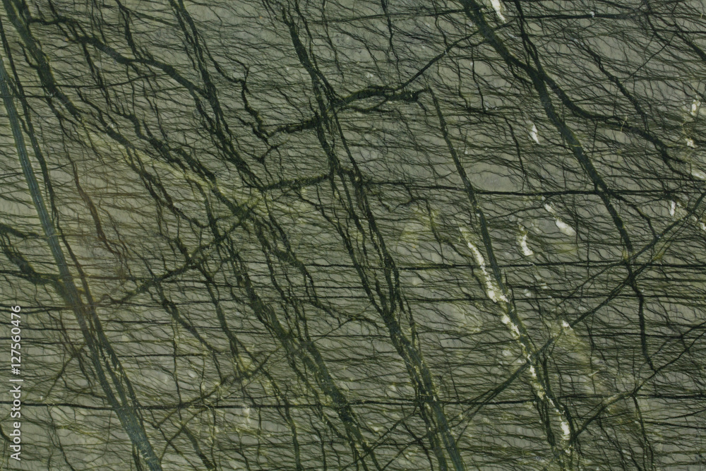 Detailed structure of luxury green marble in natural patterned f Detailed structure of luxury green marble in natural patterned f