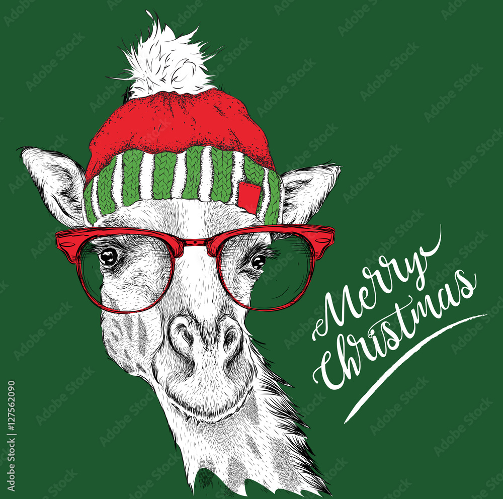 Naklejka premium Christmas card with giraffe in winter hat. Merry Christmas lettering design. Vector illustration