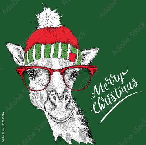 Christmas card with giraffe in winter hat. Merry Christmas lettering design. Vector illustration