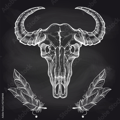 Hand drawn chalk buffalo skull and feathers on blackboard vector