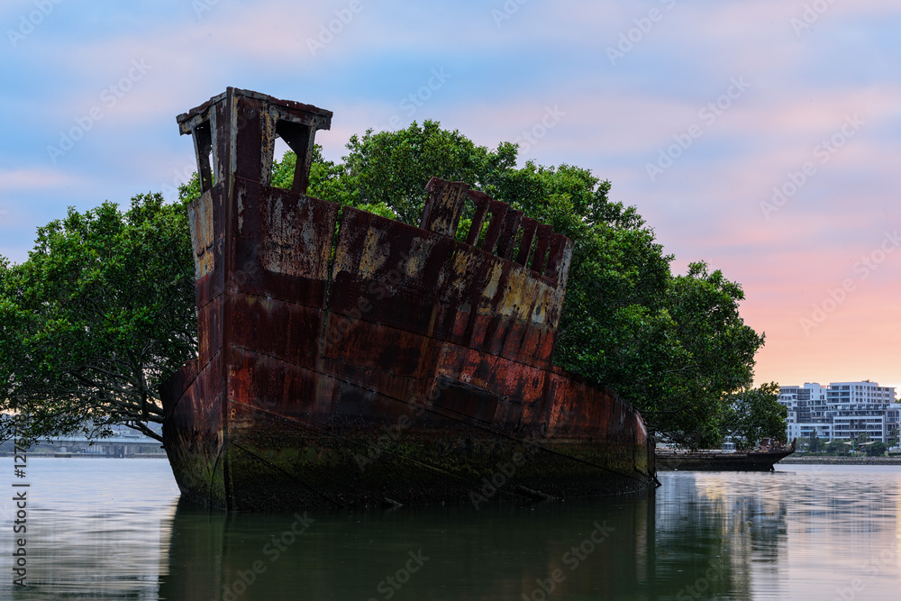 102 year old Shipwrecks of Homebush in Sydney Australia became A Floating Forest. 102 year old Shipwrecks of Homebush in Sydney Australia became A Floating Forest.