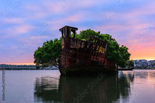 102 year old Shipwrecks of Homebush in Sydney Australia became A Floating Forest. photo