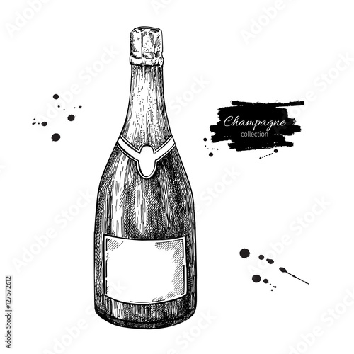 Champagne bottle. Hand drawn isolated vector illustration. Alcoh