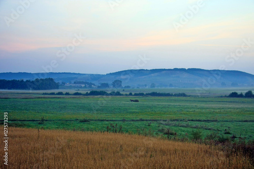 Rural landscape at dusk, horse pulls a cart with hay along field near hills © olegribak