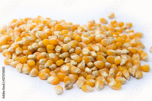 Corn on a white background