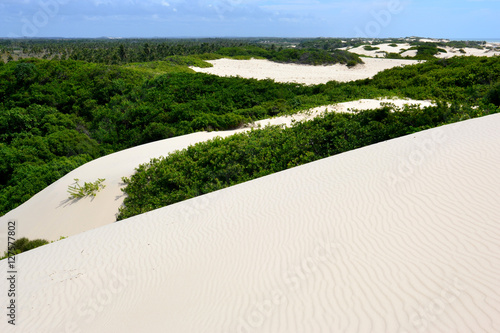 Dunas de areia na praia do Saco em Sergipe