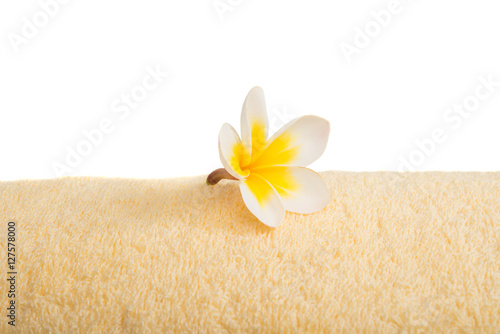 frangipani flower on a towel