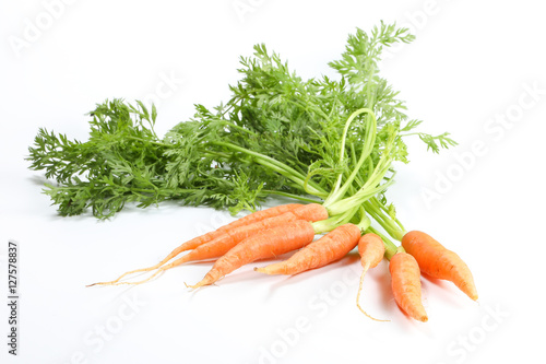 Small baby carrot with green leafs