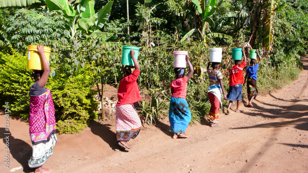 Fototapeta premium kobiety niosące wodę z wioski do swoich domów w Tanzanii w Afryce