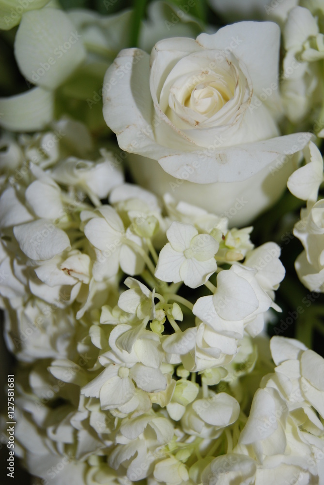 White bouquet White bouquet