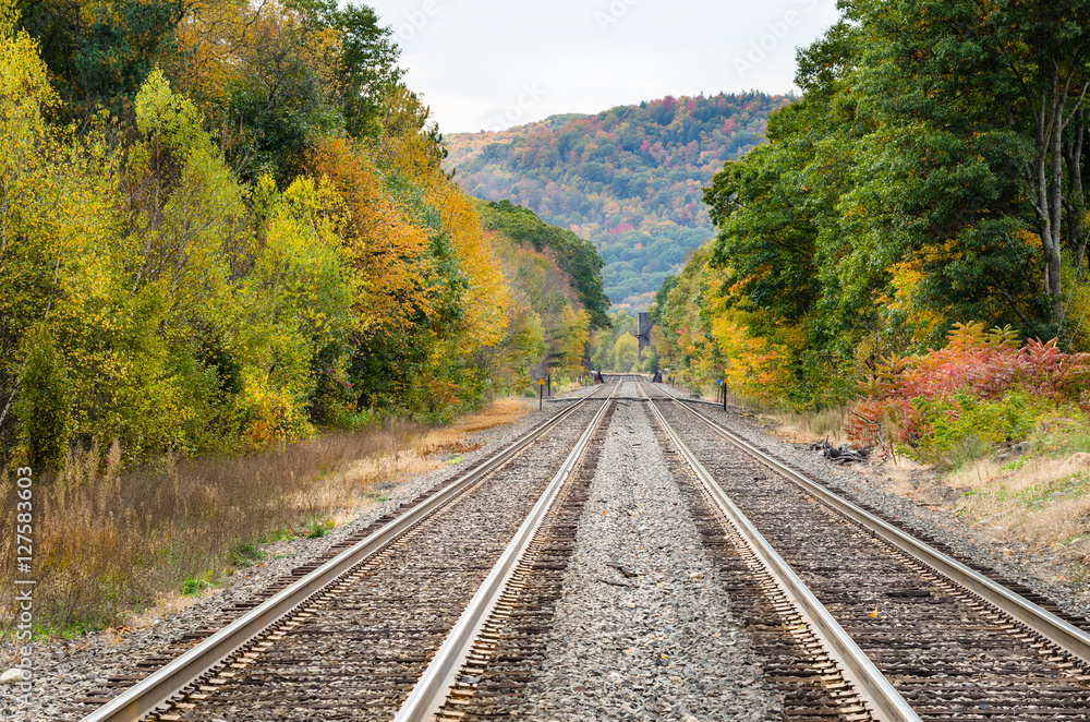 Railroad Tracks Lined with Trees on a Fall Day Railroad Tracks Lined with Trees on a Fall Day