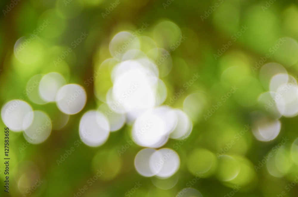 Fototapeta premium Bokeh natural color background, colorful leaf of the tree