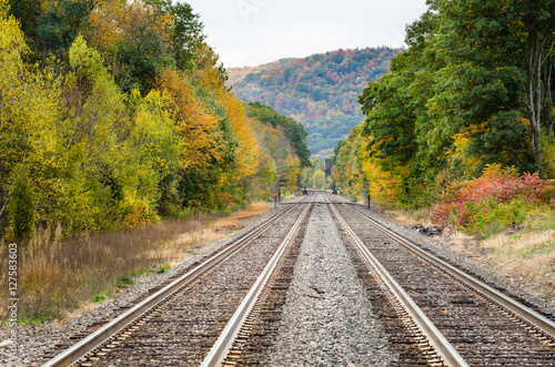 Railroad Tracks Lined with Trees on a Fall Day