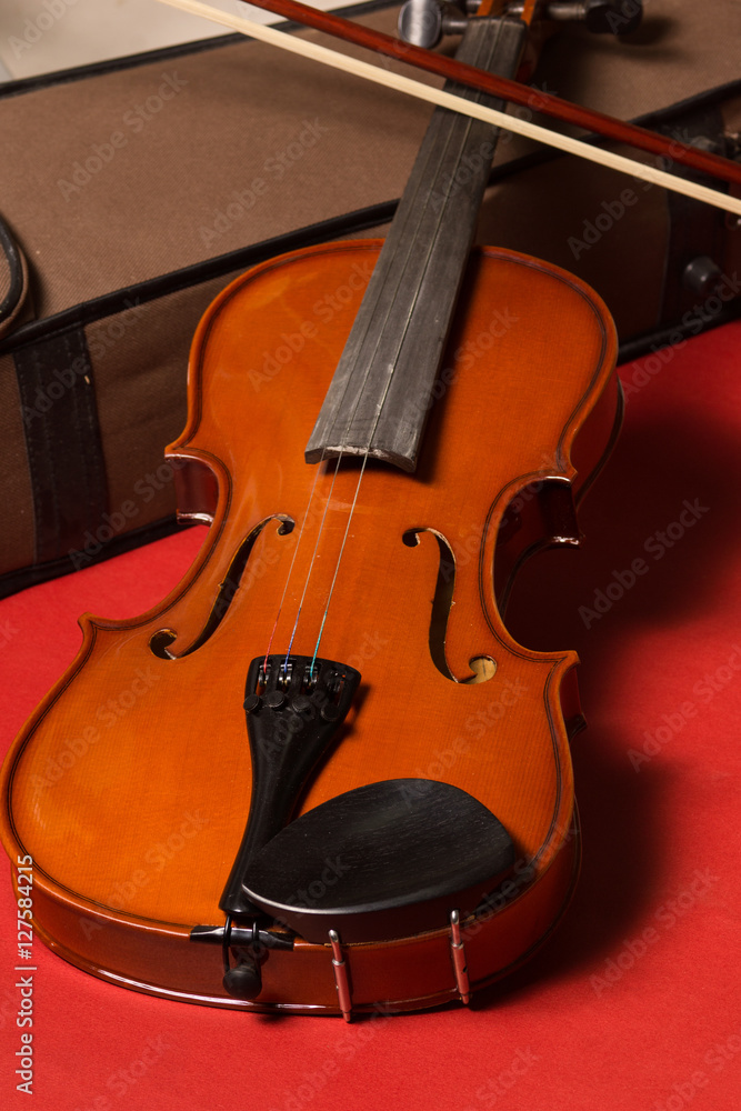 Obraz premium Violin