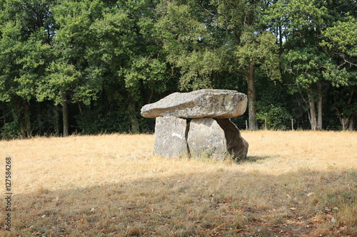 The prehistoric Dolmen of Bagnol in France photo