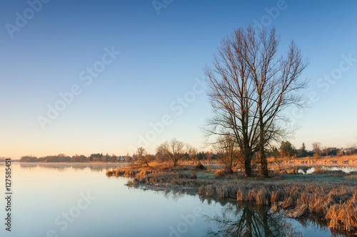 After sunrise over a wild pond with lonely trees next to a village