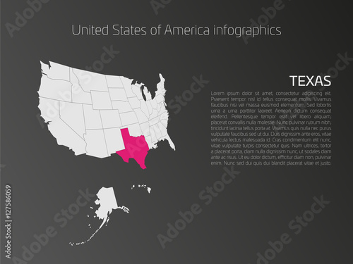 United States of America, aka USA or US, map infographics template. 3D perspective dark theme with pink highlighted Texas, state name and text area on the left side.