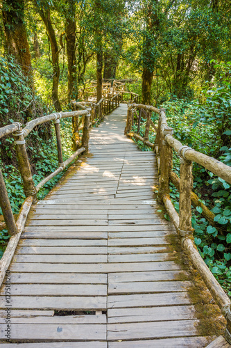 Old wooden walkway in natural park of Northern Thailand. For nature walks to study the tropical rain forest.