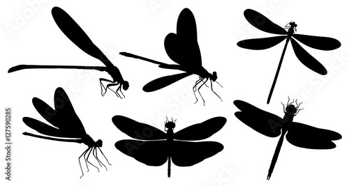 Dragonfly silhouettes. 