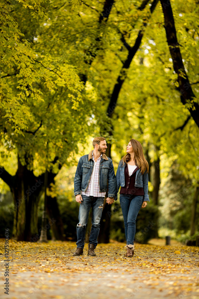 Loving couple in the autumn park Loving couple in the autumn park