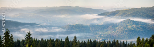 Wide amazing panorama of foggy mountain range. Morning with fog over mountain slopes, covered with spruce forest.