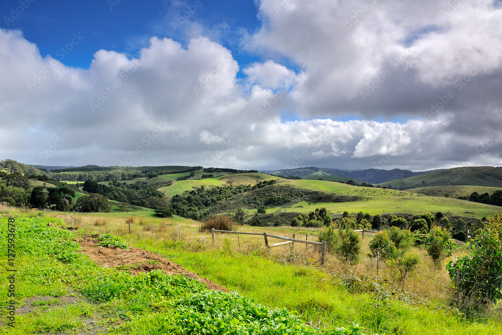 Obraz premium Australia Landscape : Great Ocean Road - Scenic Route countryside