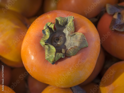 Εκτύπωση καμβά Bright Orange Persimmon