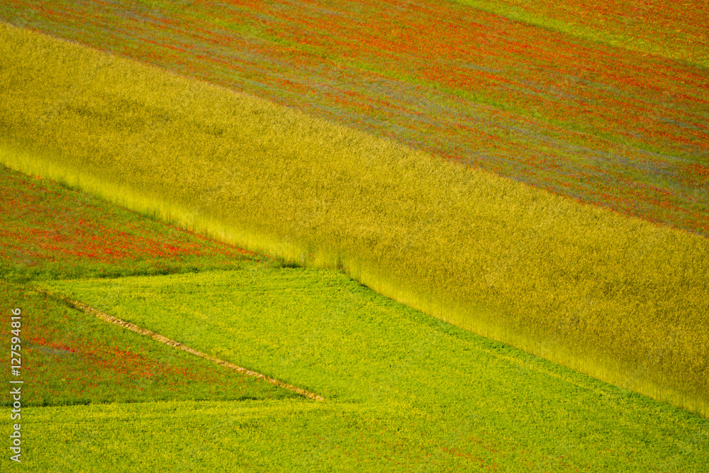 Castelluccio di Norcia Castelluccio di Norcia