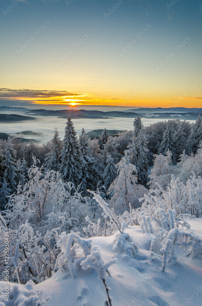 Wschód słońca na Jaworzynie Krynickiej 1114 m.n.p.m.Beskid Sądecki ,małopolska,Polska.