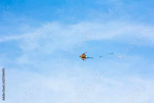 Kites in the sky blue