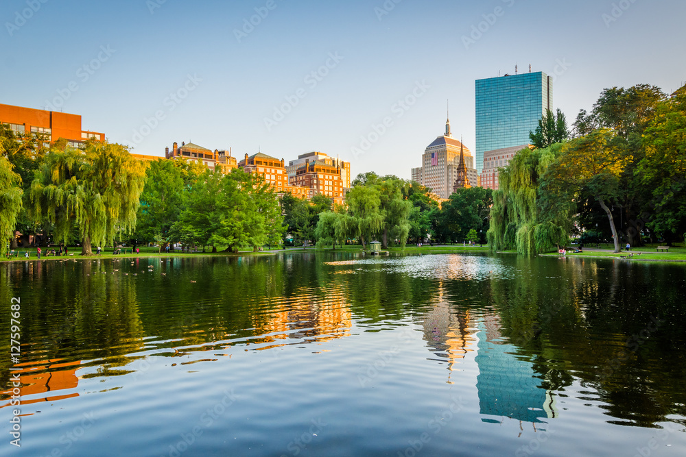 The pond at the Boston Public Garden, in Boston, Massachusetts.