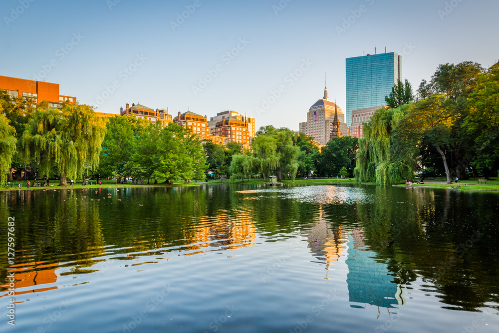 The pond at the Boston Public Garden, in Boston, Massachusetts. The pond at the Boston Public Garden, in Boston, Massachusetts.